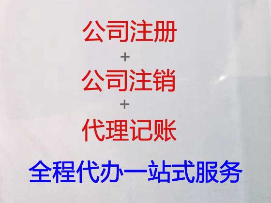 广州专业注册公司代办平台,代办办理软件公司注册,税务登记代办